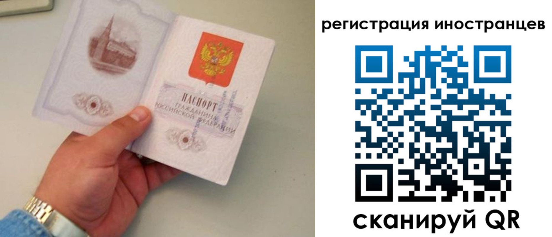 регистрация для школы в Новороссийске